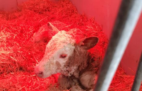 472490754_122182358606121086_2903639063044092708_n