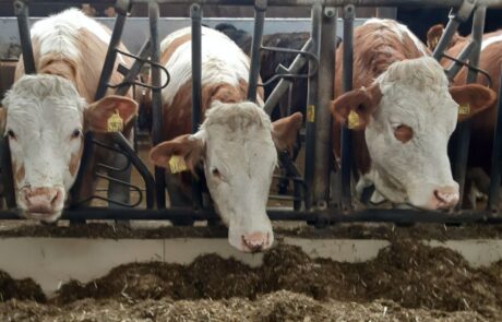 472501138_122182359380121086_2933812845562037086_n