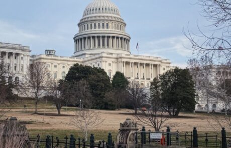 photo_5314264474338400413_y