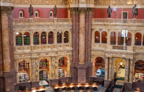 photo_5314264474338400417_y