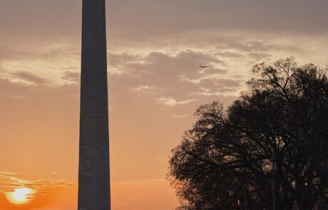 photo_5314264474338400418_y