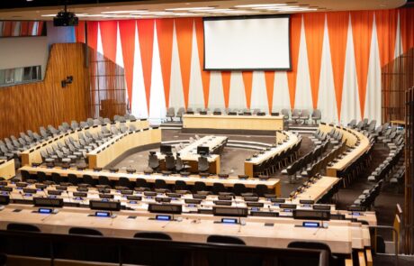 photo_5314264474338400436_y