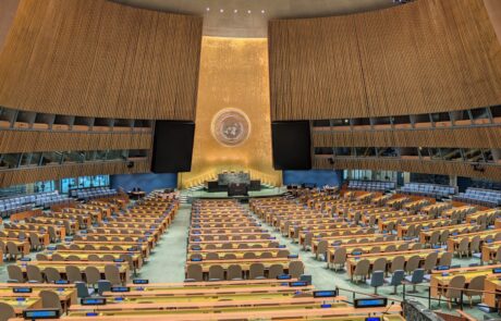 photo_5314264474338400437_y