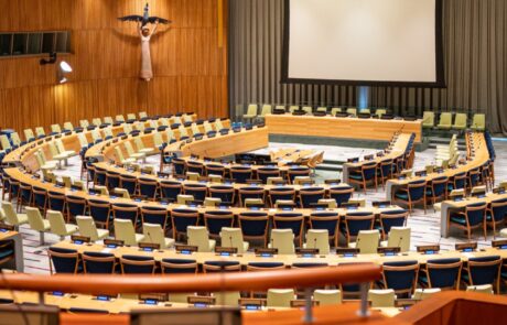 photo_5314264474338400442_y